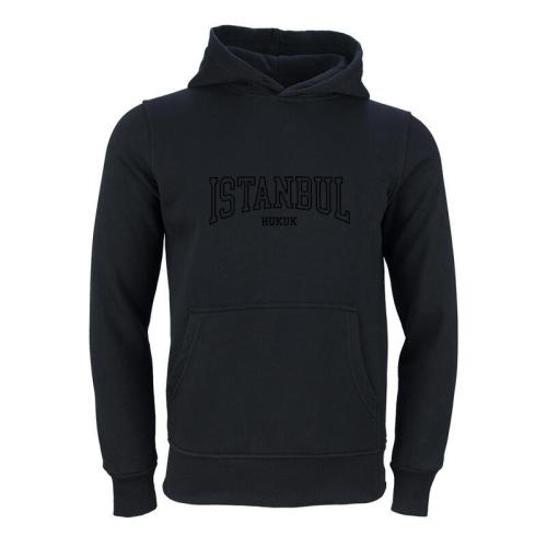 Istanbul Üniversitesi ILSA Model 4