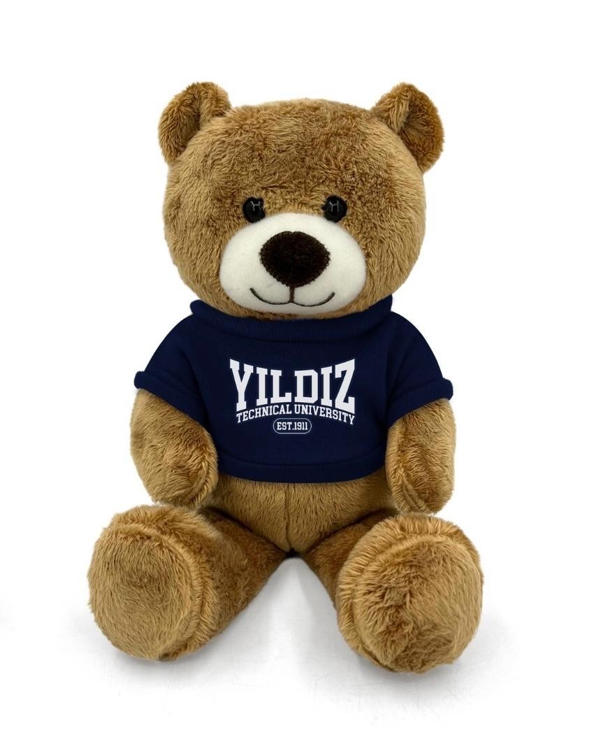 Yıldız Teknik Üniversitesi - Ayıcık